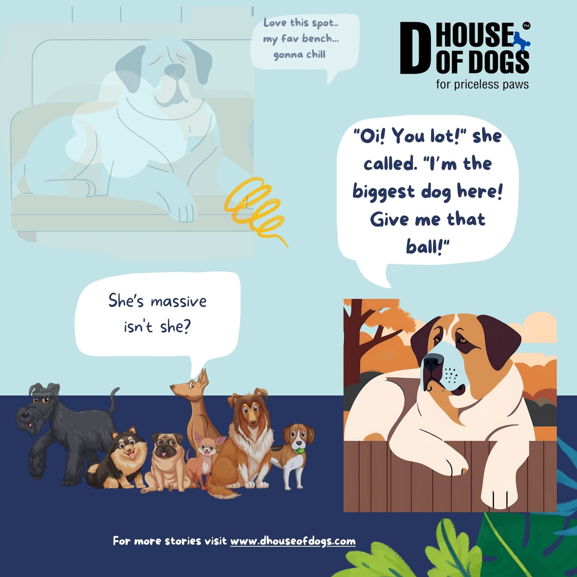 story image